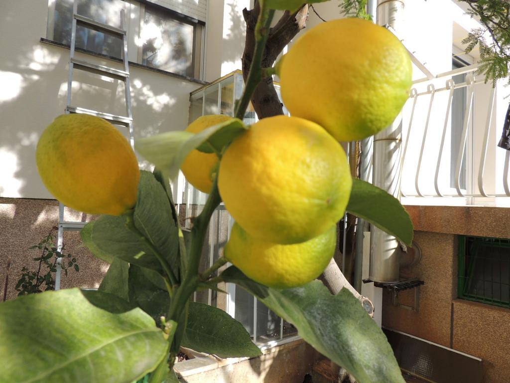ברודאריצה Apartment Ordan 503 מראה חיצוני תמונה