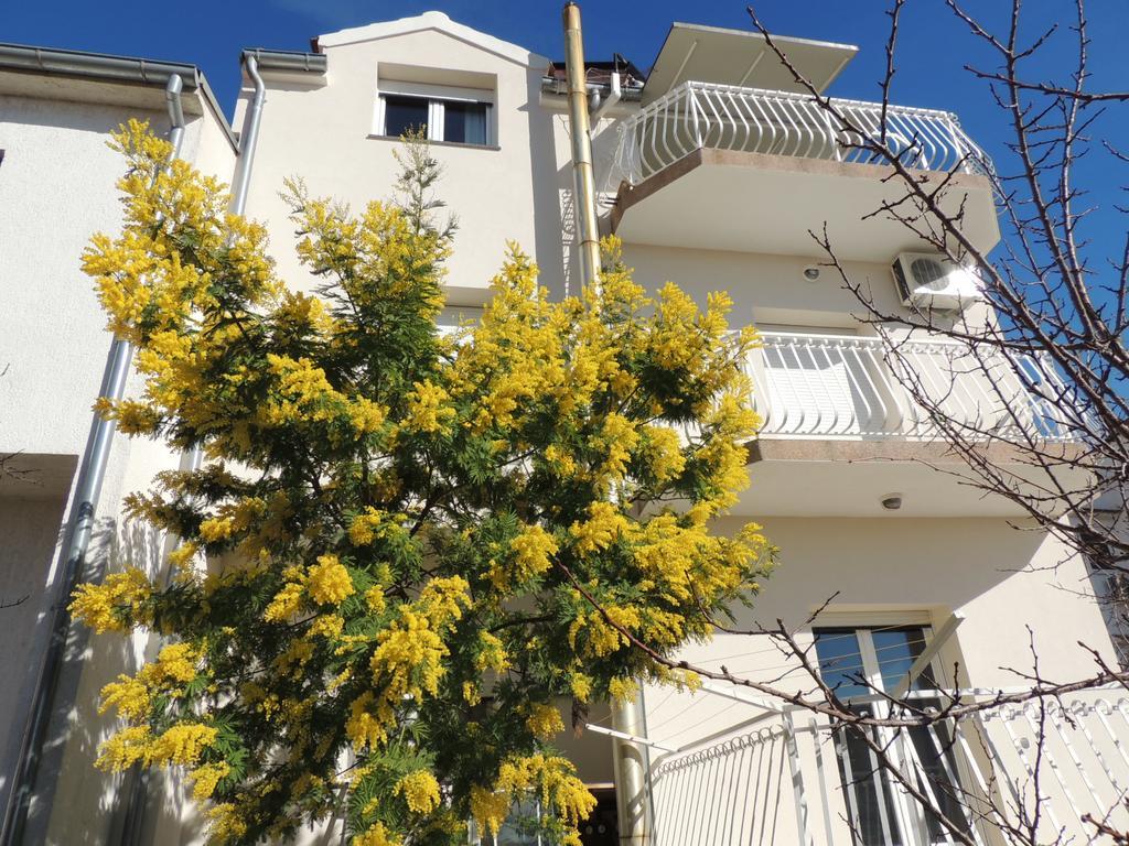 ברודאריצה Apartment Ordan 503 מראה חיצוני תמונה